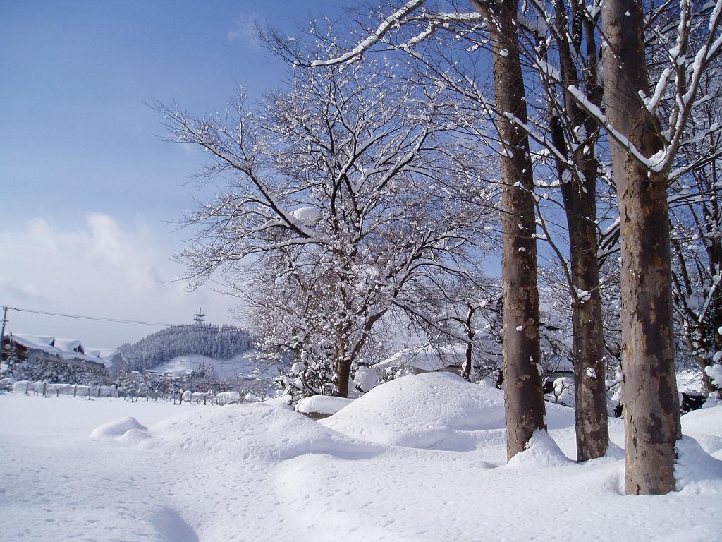 jpg/060107snow 003.JPG